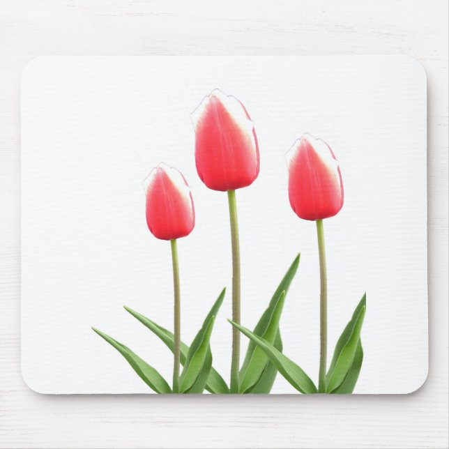 Tapis De Souris Fleurs de tulipe rouge printemps (Devant)