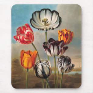 Tapis De Souris Fleurs de tulipes variées vintage dans un paysage