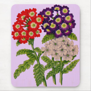 Tapis De Souris fleurs de verbena en rouge et violet