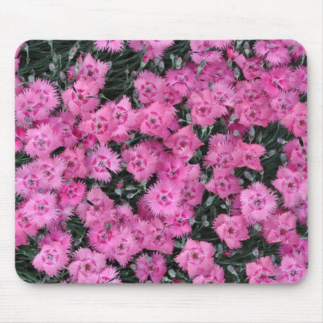 Tapis De Souris Fleurs de willim rose (Devant)