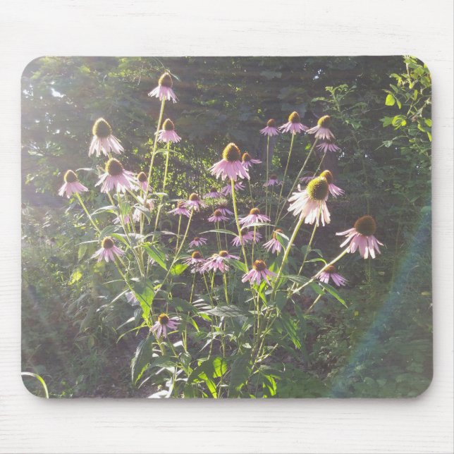 Tapis De Souris Fleurs d'échinacée au soleil (Devant)