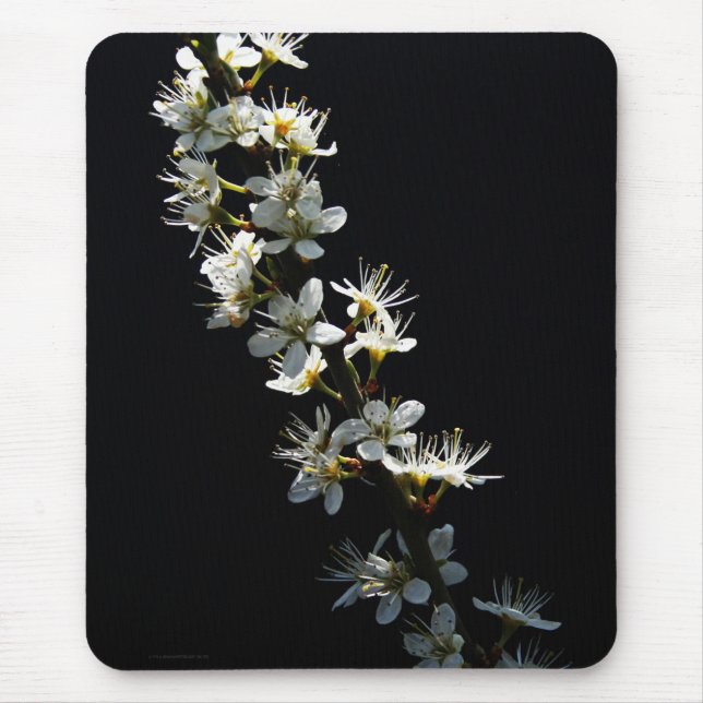 Tapis De Souris Fleurs d'épines mpcnm (Devant)