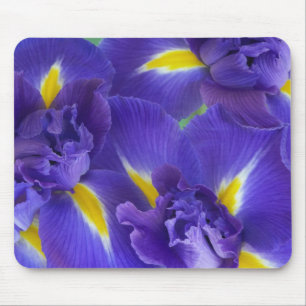 Tapis De Souris Fleurs d'Iris