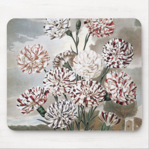 Tapis De Souris Fleurs d'œillet panachées vintage avec ciel gris