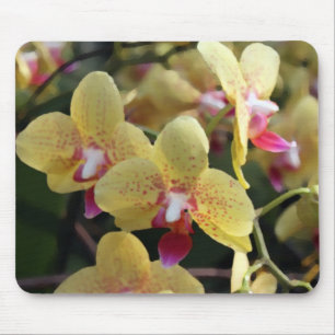 Tapis De Souris Fleurs d'orchidées jaunes
