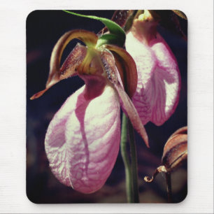 Tapis De Souris Fleurs d'orchidées rose Lady Slipper