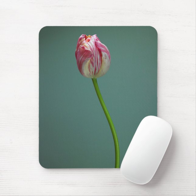 Tapis De Souris Fleurs | Fleur de tulipe unique (Avec souris)