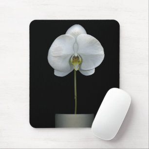 Tapis De Souris Fleurs   Fleur d'orchidées blanches