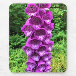 Tapis De Souris Fleurs Foxglove, Oregon