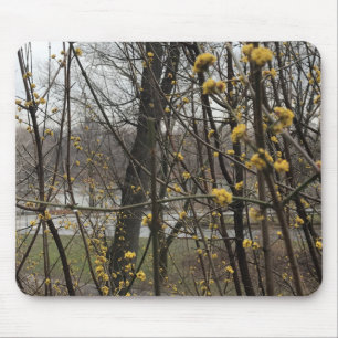 Tapis De Souris Fleurs jaunes New York City Central Park Trees