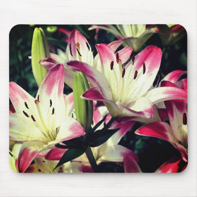 Tapis De Souris Fleurs Lily souriantes (Devant)