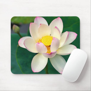 Tapis De Souris Fleurs Lotus Water Flower