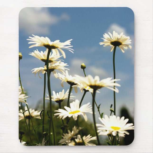Tapis De Souris Fleurs marguerites Mousepad (Devant)