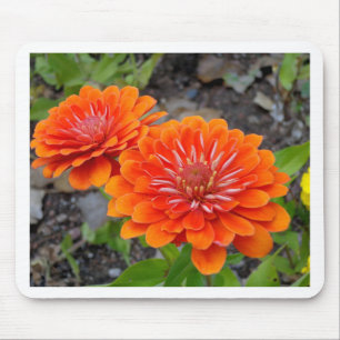 Tapis De Souris Fleurs oranges de Zinnia