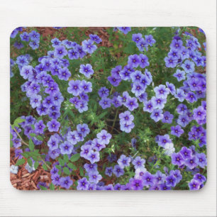 Tapis De Souris fleurs phlox violet clair