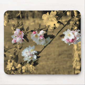 Tapis De Souris Fleurs Printanières En Sepia