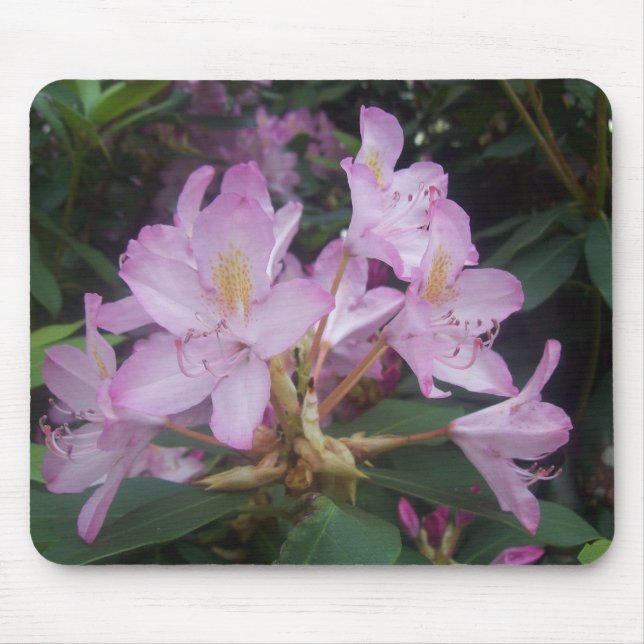 Tapis De Souris Fleurs roses (Devant)