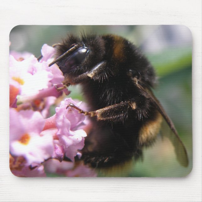 Tapis De Souris Fleurs roses et boursouflées Mousepad (Devant)