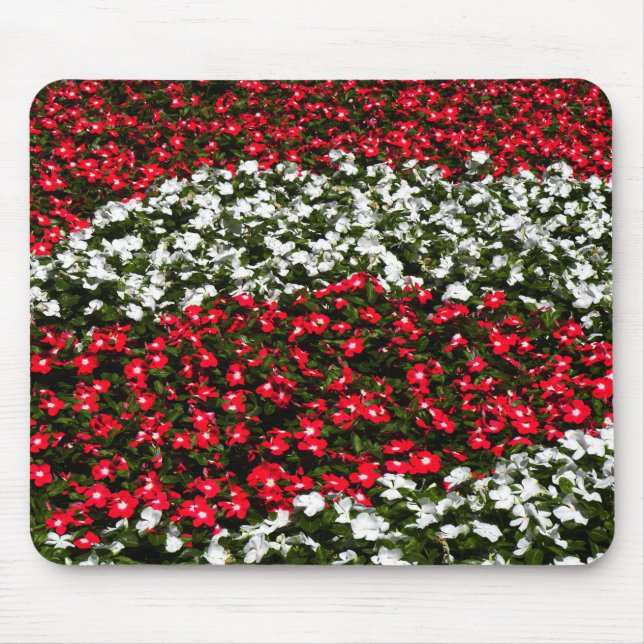 Tapis De Souris Fleurs rouges et blanches (Devant)