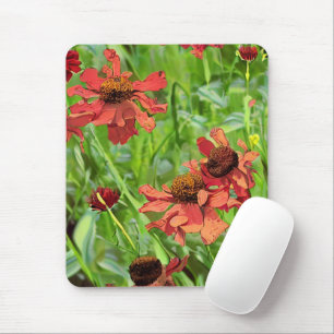 TAPIS DE SOURIS FLEURS ROUGES RUDBECKIA
