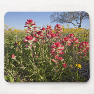 Tapis De Souris Fleurs sauvages au bord de la route au Texas, prin
