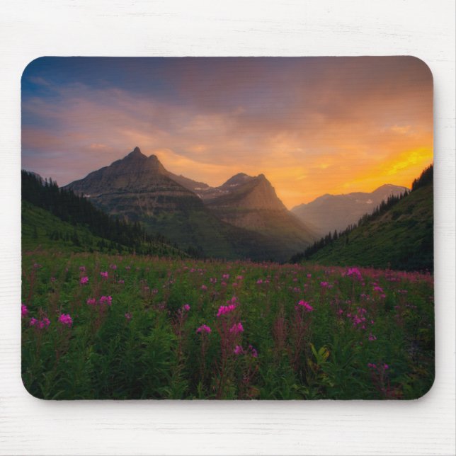 Tapis De Souris Fleurs sauvages de glacier (Devant)
