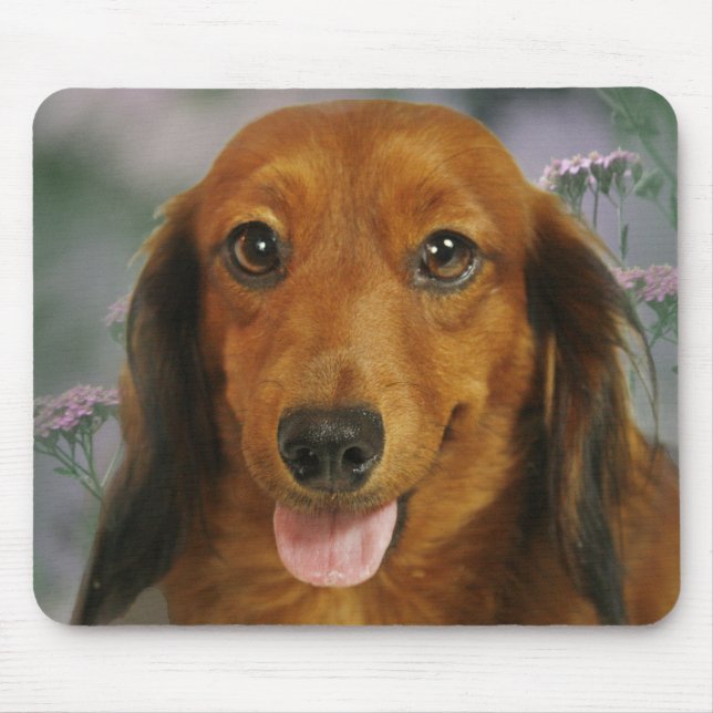 Tapis De Souris Fleurs sauvages mignonnes de teckel (aux cheveux (Devant)