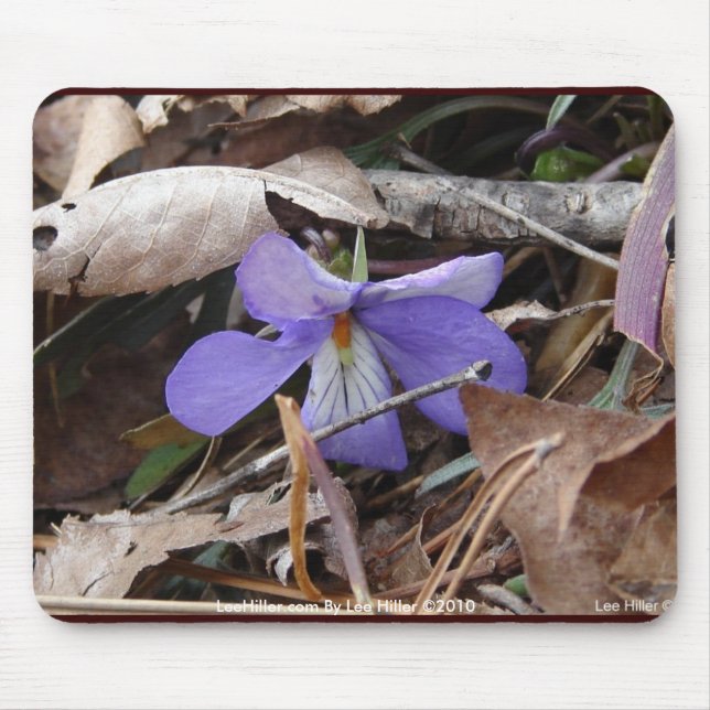 Tapis De Souris Fleurs sauvages oiseau-pied violet sources chaudes (Devant)