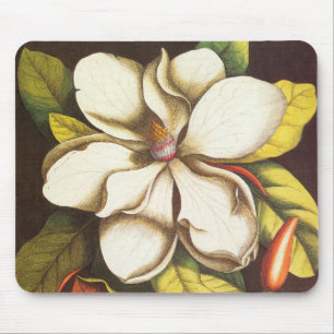 Tapis De Souris Fleurs vintages Magnolia Plante Avec Graines