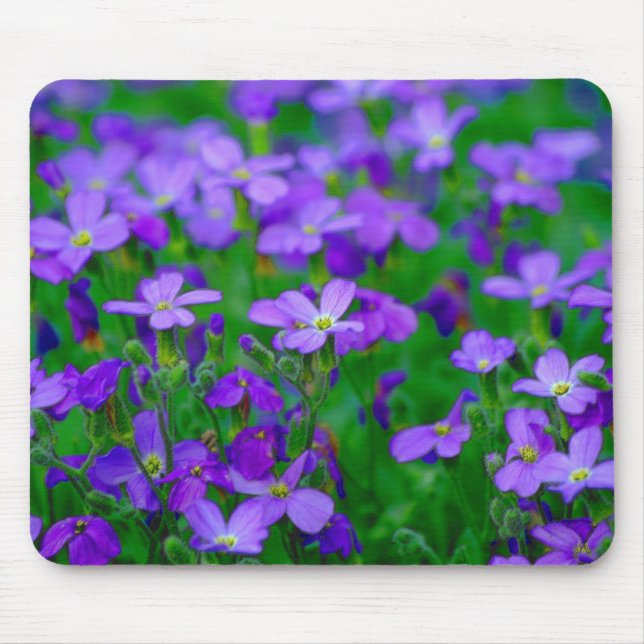 Tapis De Souris Fleurs violettes Mousepad (Devant)