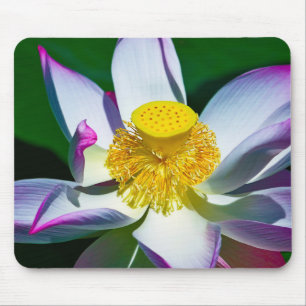 Tapis De Souris Floating Serenity: The Lotuses of Ninh Binh