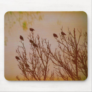 Tapis De Souris Flock Together