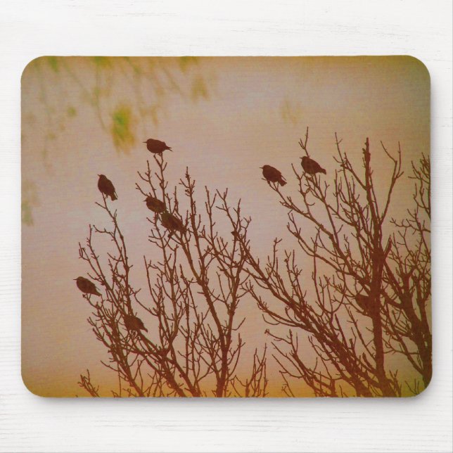 Tapis De Souris Flock Together (Devant)