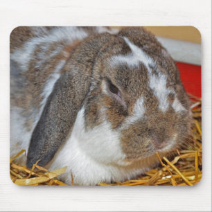 Tapis De Souris Floppy Eared Bunny