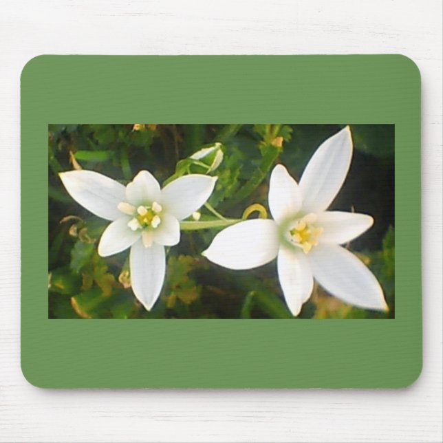 Tapis De Souris Floraison blanche printanière (Devant)