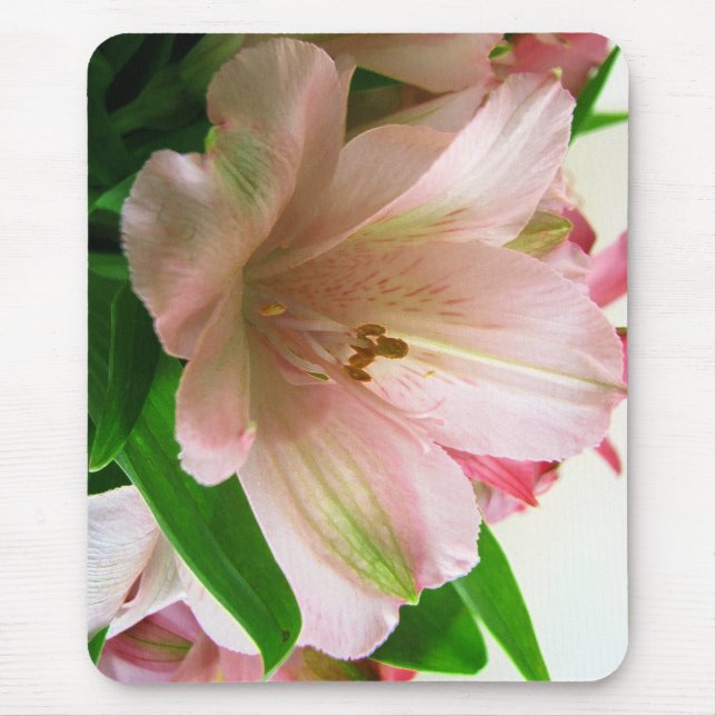 Tapis De Souris Floral (Devant)