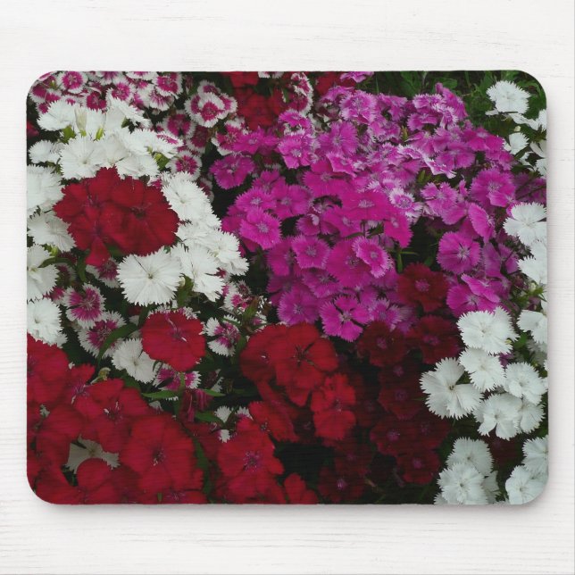 Tapis De Souris Floral Dianthus blanc, rose et rouge (Devant)