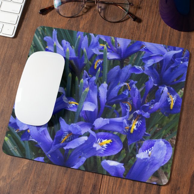 Tapis De Souris Floral d'Irises réticulées pourpres (In Situ)