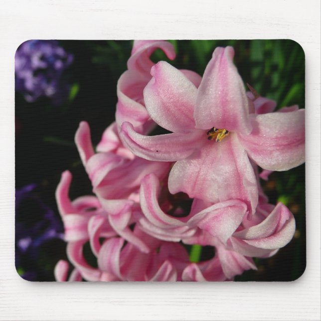 Tapis De Souris Floral Pink Hyacinth (Devant)