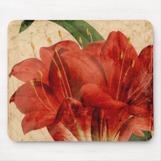 Tapis De Souris Floral vibrant VIII (Devant)