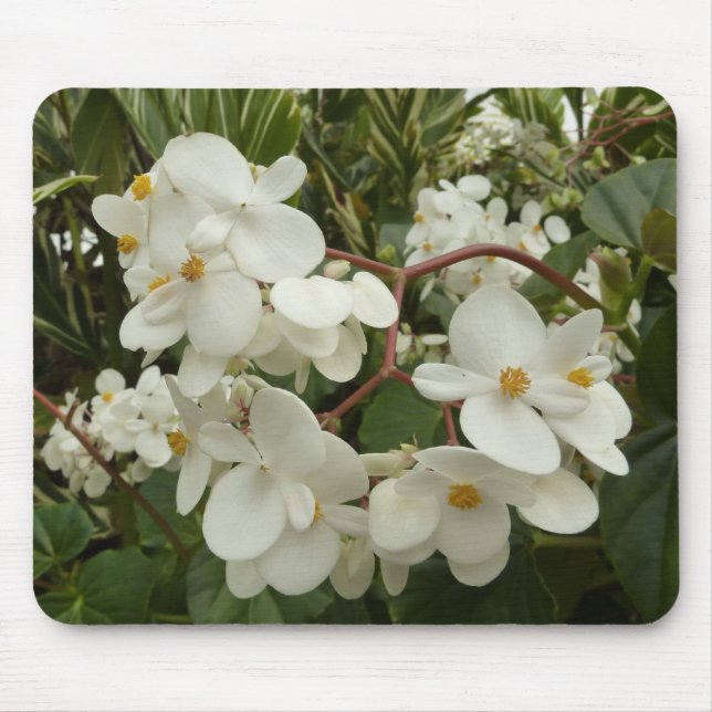 Tapis De Souris Flore de Bégonia blanche tropicale (Devant)