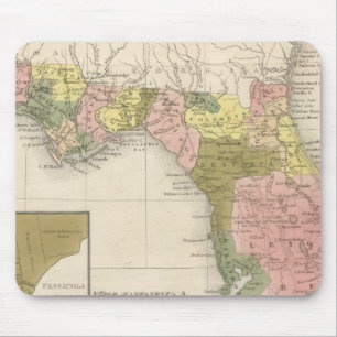Tapis De Souris Floride 12
