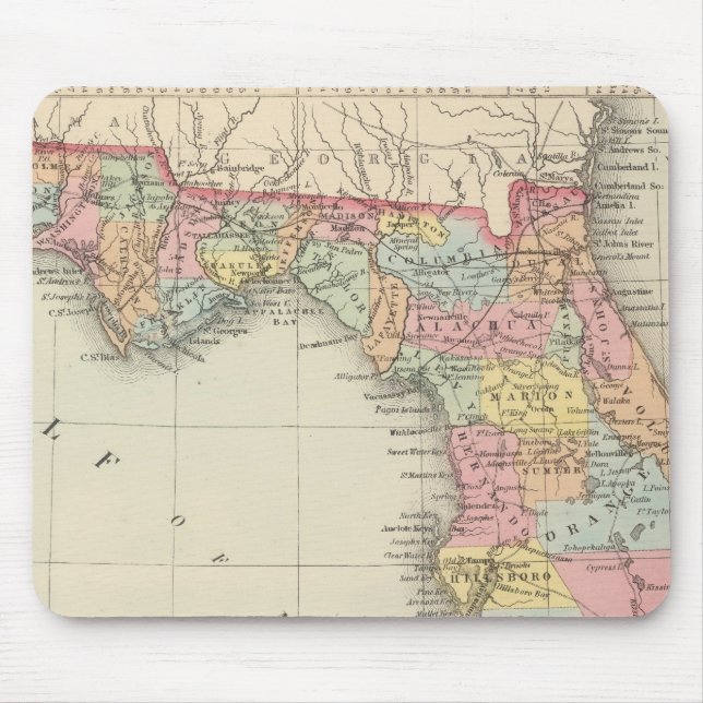 Tapis De Souris Floride 13 (Devant)