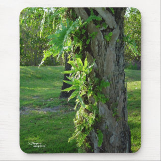 Tapis De Souris Floride fougères Mousepad