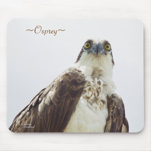 Tapis De Souris Floride Osprey Mousepad (Devant)