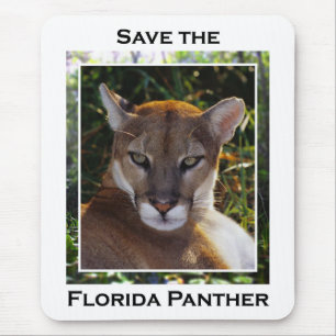 Tapis De Souris Floride Panther