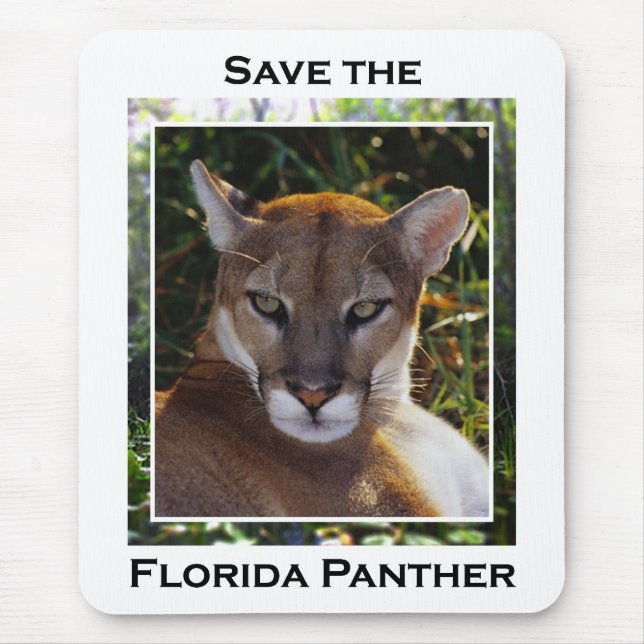 Tapis De Souris Floride Panther (Devant)