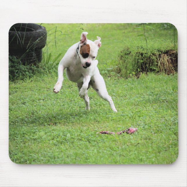 Tapis De Souris Flottant (Devant)