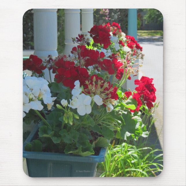 Tapis De Souris Flower Box Geraniums - Martha's Vineyard (Devant)