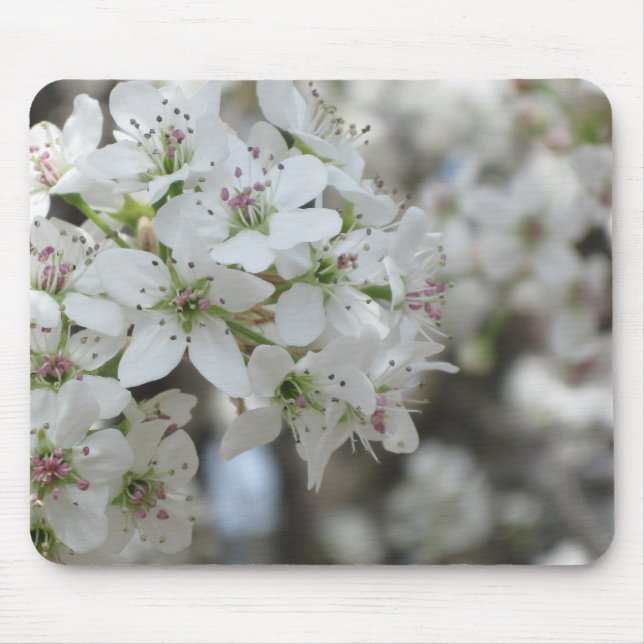 Tapis De Souris Flower Pear Tree Bloom (Devant)